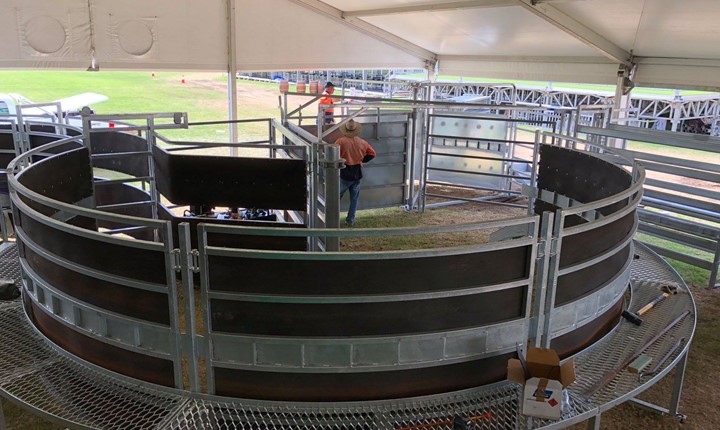 Image for Quality steel equipment makes livestock handling safer